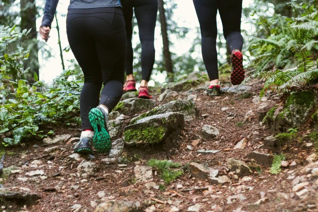 Hiking in the Forest