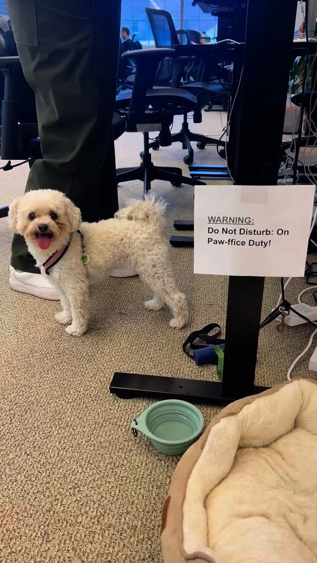 WARNING: Entering Inkitt HQ 🙈#romancebookcompany #behindthescenes #officelife
